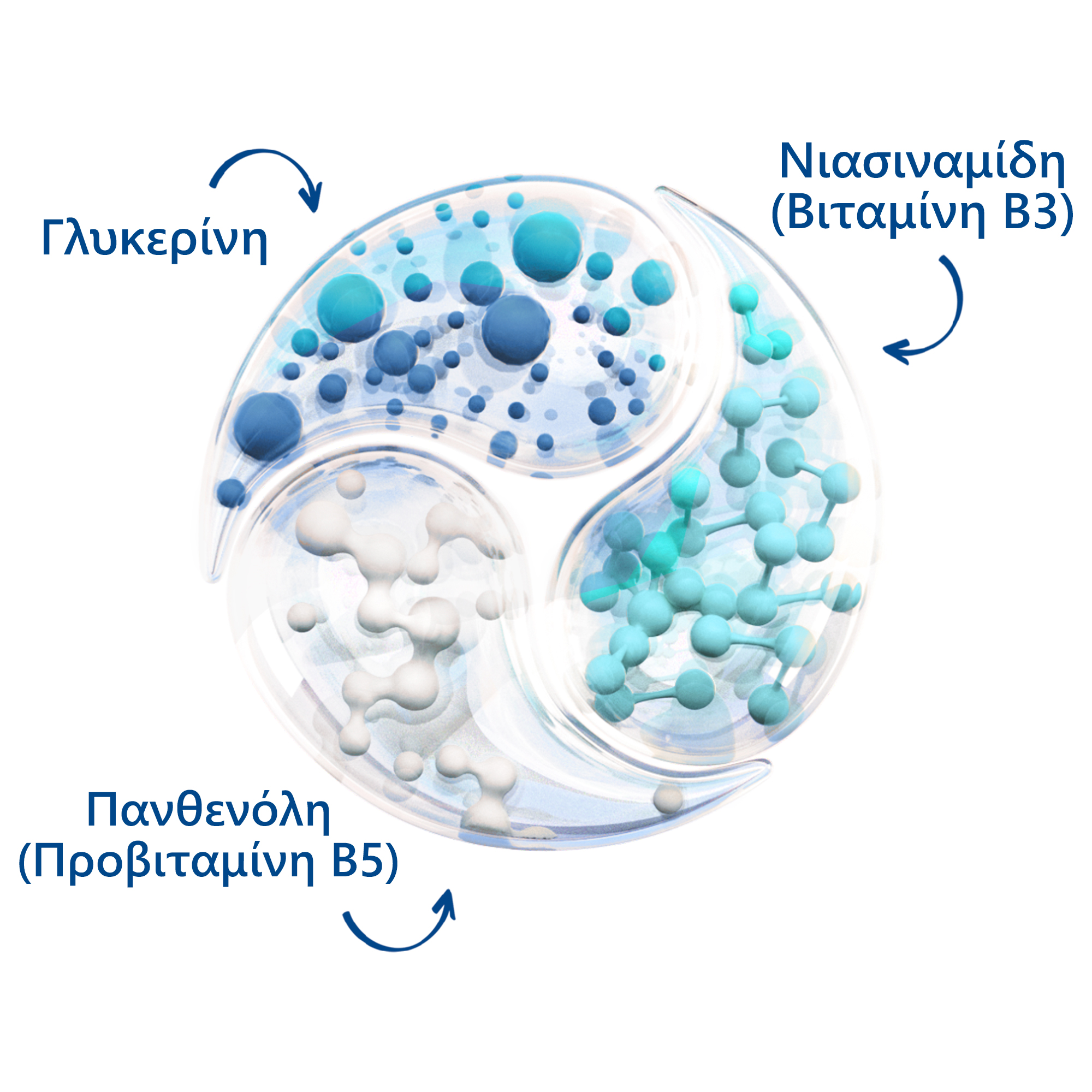 Ενυδατική Λοσιόν Σώματος 
                    Ingredients